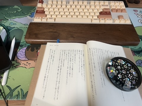 photo of my japanese study today