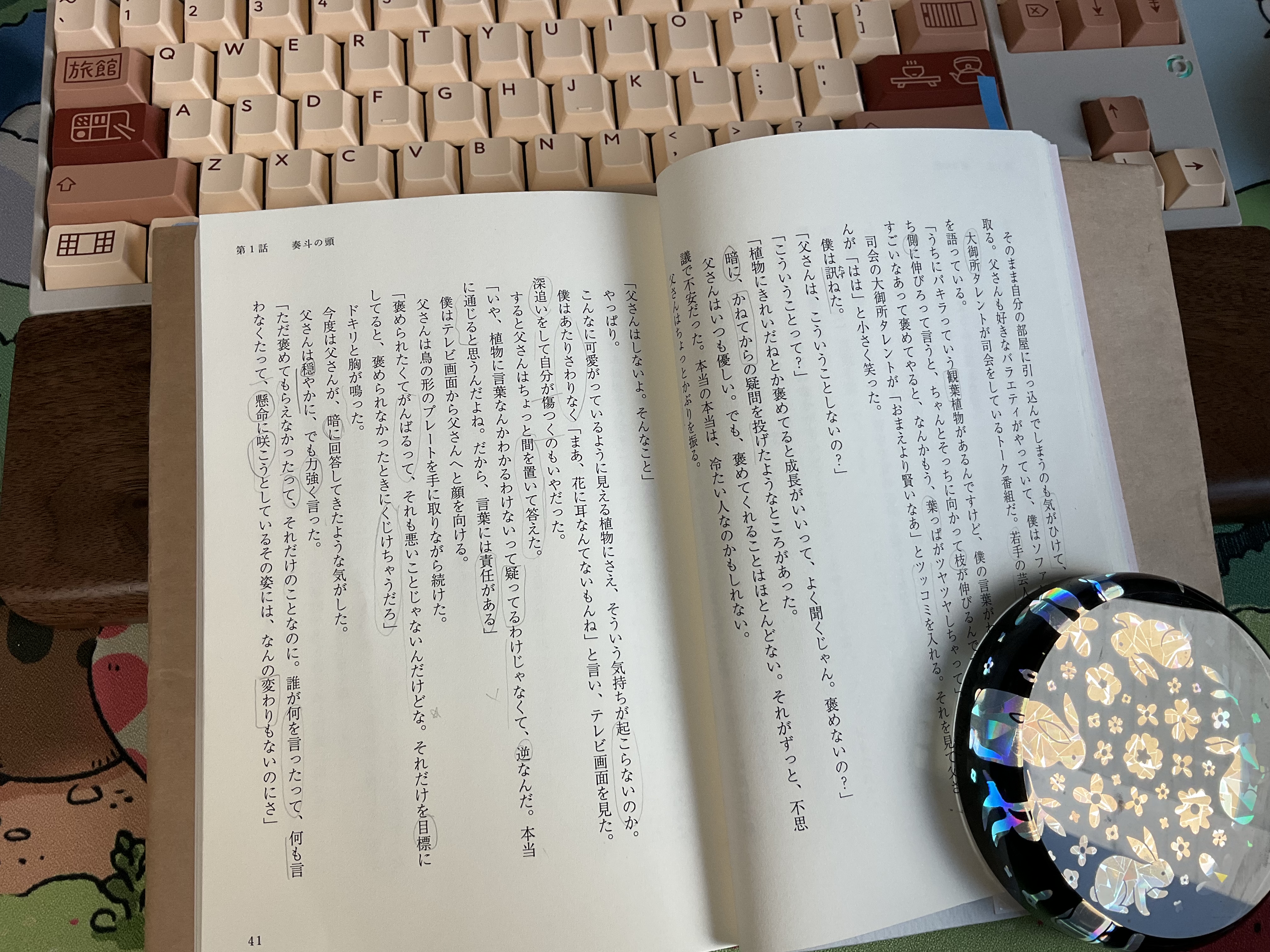 photo of my japanese study today